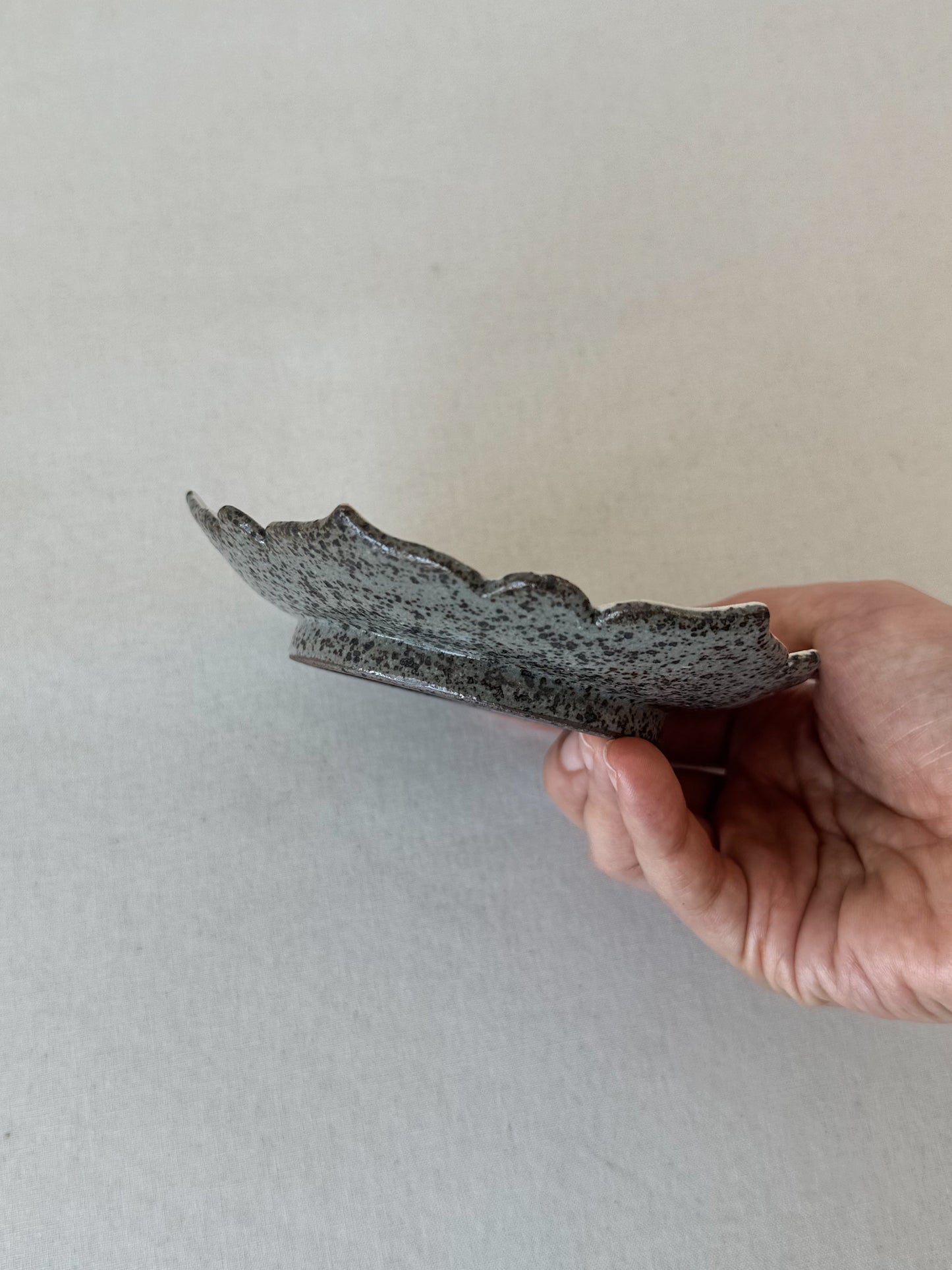 Scalloped Buncheong Vine Plate I