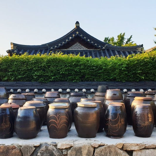 Kimchi 김치 and Onggi 옹기