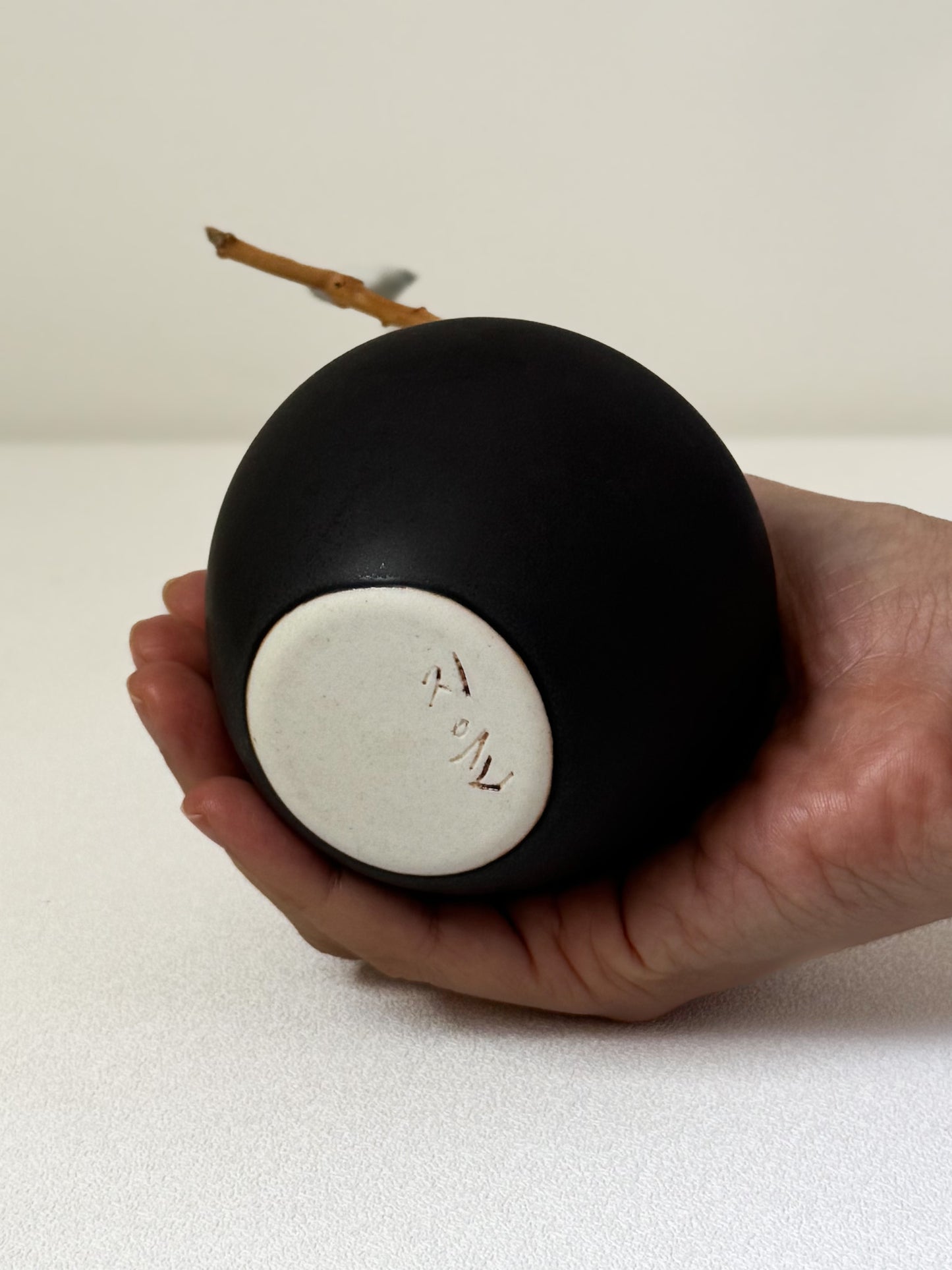 Black Apple with Magpie Branch — Quiet Black (흑색)