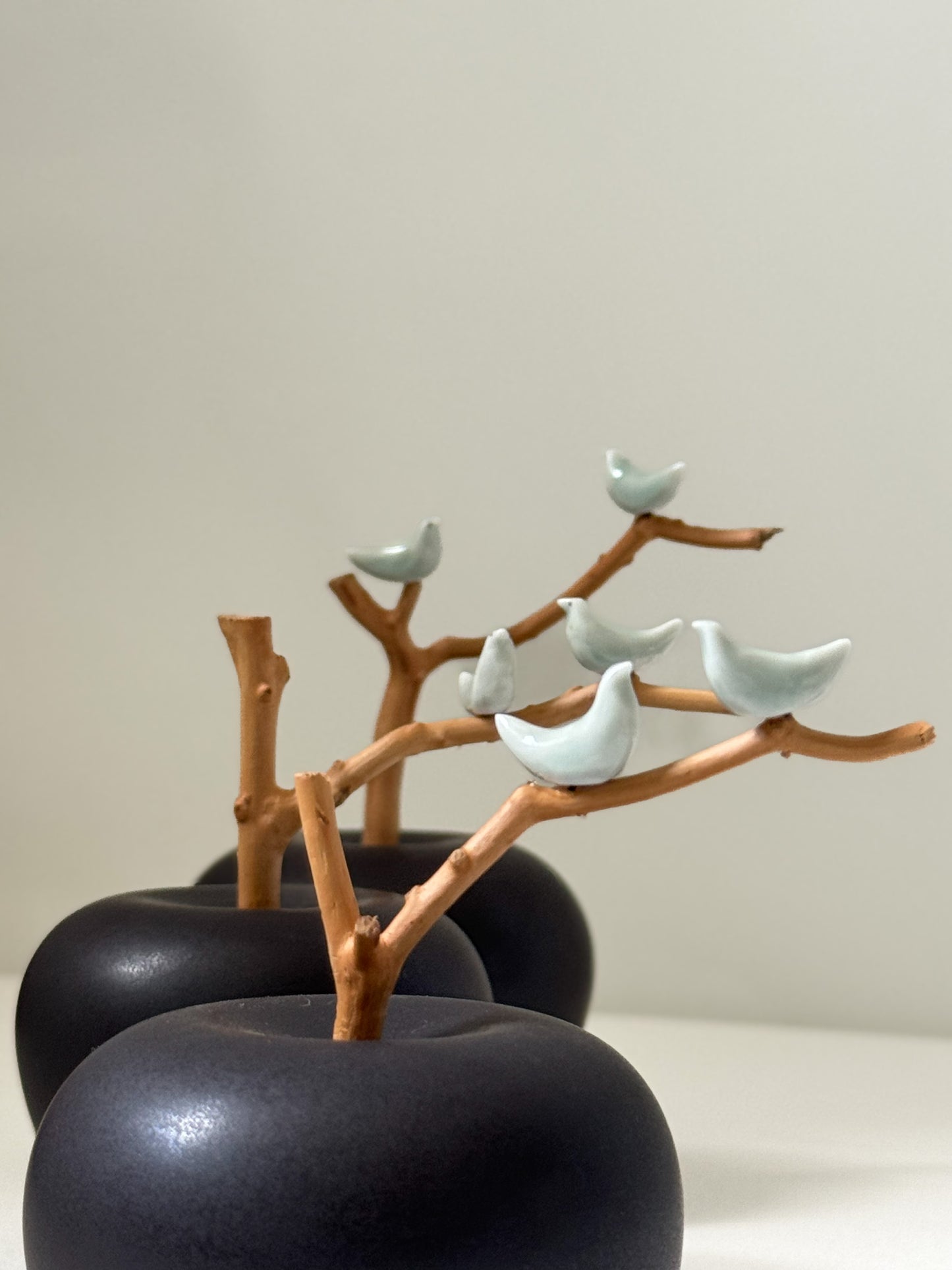 Black Apple with Magpie Branch — Quiet Black (흑색)